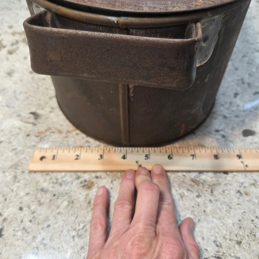 Antique Copper Oval Fish Poacher Fitted Lid Perforated Insert Farmhouse Patina
